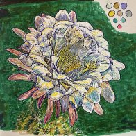 IMG_2413.jpeg