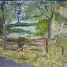 Fence Scene
