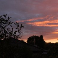 IMG_4426.JPG