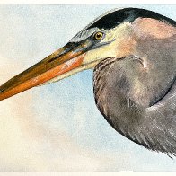 Heron Sky_2026.jpg