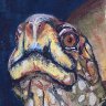 Turtle Stare