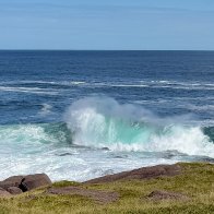 IMG_1341.JPG