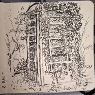 IMG_2299.jpeg