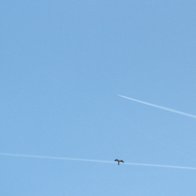 IMG_4737.JPG