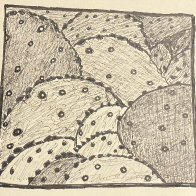 IMG_1376.jpeg