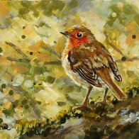 robin 26 g.jpg