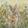 Hare Leaves