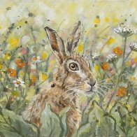 hare oct 26.jpg