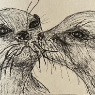 IMG_1382.jpeg