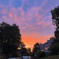 IMG_6345.jpeg