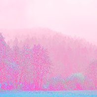Disappearing Into The Fog filter1.jpg
