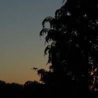 IMG_5013 (1).JPG