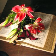 Bible Bouquett I.jpg