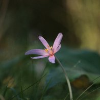 IMG_1471(1).jpg