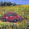 Car in a field
