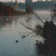 IMG_0181(1)(1).jpg