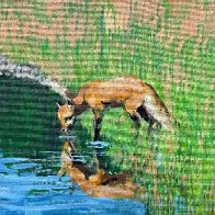 fox_drink_2026.jpg