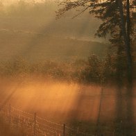 IMG_0178(1)(1)(1).jpg