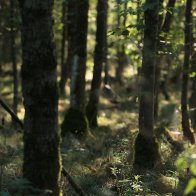 3b594e70-4d1a-4ee6-b220-b83557ab40a9.jpg