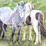 nose to tail.jpg