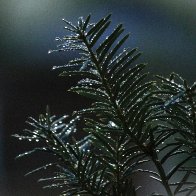 Eibe Wassertropfen Vorlage PMP.JPG