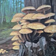Mushrooms.JPG