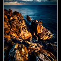 IMG_8639.jpeg