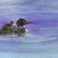 loon2026_baby.jpg