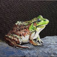 RobertPointergreen_frog2026.jpg