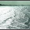 Time & Tide Wait For No Man, Especially at Weston!