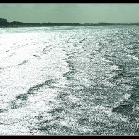 3C5A2658a-001_1.JPG