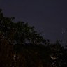 Pleiades