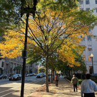 IMG_0216.jpeg