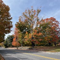 IMG_0232.jpeg