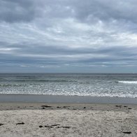 IMG_0031.jpeg