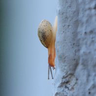 IMG_0626 (4)(1).jpg