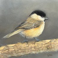 IMG_3400.jpeg