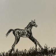 IMG_1527.jpeg