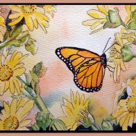 Butterfly2.jpg