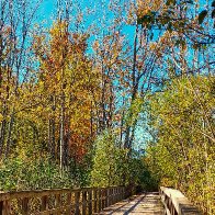 SouthBridge 10-26.jpg