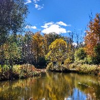 SongbirdPond 10-26.jpg