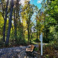 Bench 10-26.jpg