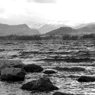 DSC05662-001 1.JPG
