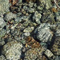 DSC05444-002 1.JPG