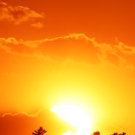 IMG_4209.jpeg
