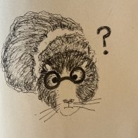 IMG_1553.jpeg