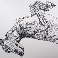 20261020_161622.jpg