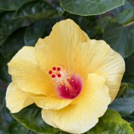 IMG_3122.jpeg
