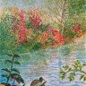 Autumn Water Scene