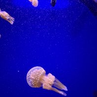 IMG_7476.jpeg